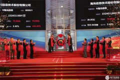 科创板的一束“海光”，正在让中国半导体发展