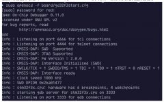 记录Red Lite Env项目的基础搭建过程及碰到的问题