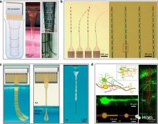 微电极技术的发展现状