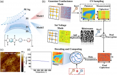 基于柔性聚酰亚胺忆阻器的多合一压缩和加密引