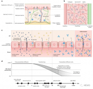 真皮间质液在诊断应用方面的机遇与挑战
