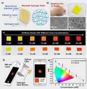 可穿戴传感贴片+智能手机，实现体液中尿素视觉