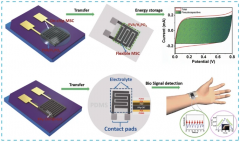 面向人体运动感知的微应变传感-微电容集成MEM