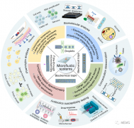用于真菌和细菌分析的集成微流控系统的最新进