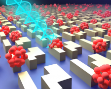 基于强化学习的生物分子手性传感器