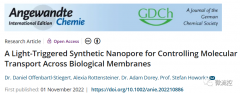 合成光控纳米孔，用于调控分子跨生物膜转运过