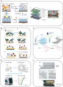 用于活病原体快速检测的微流控系统研究进展