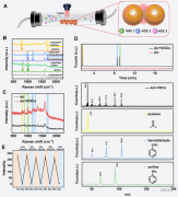南京师大在VOC气体传感检测方面取得新进展