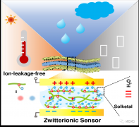 可用于离电型传感器可修复和多种环境适用的水