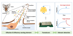 仿生生物嗅觉传感器研究进展