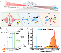 上海光机所在空气激光的远程探测应用方面获得