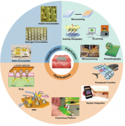 基于微针的医疗保健平台的开发指南