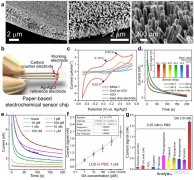 具有多维协同纳米敏感效应的电化学传感器探测