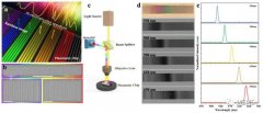 等离子体彩虹芯片级智能光谱仪可实现光谱+偏振