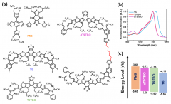 基于柔性连接单元的二聚体受体用于高效稳定的