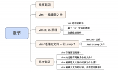 聚焦IO，从存储的角度剖析vim原理