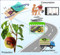 基于全MXene打印的无线无源植物可穿戴传感器