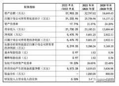 <b>销售传感器年入2亿的索迪龙终止上市</b>