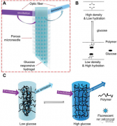 基于荧光纳米金刚石硼水凝胶的微针装置用于体