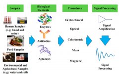 生物传感器助力血糖监测行业变革