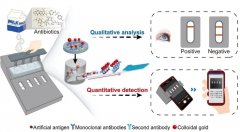 北京工商大学在微流控生命分析研究中取得系列