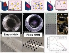 基于空心微针的等离子体传感器检测真皮间质液