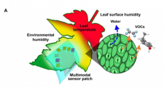 <b>一种可被植物“穿戴”的多功能传感器芯片</b>