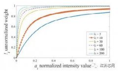 基于结构与分解的红外光强与偏振图像融合