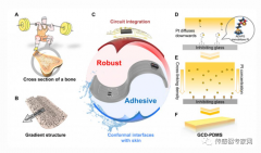 华中科技大学：制备表皮生物传感器，可用于术