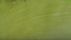 守护一湾湖水，凯米斯在线多参数自清洁传感器