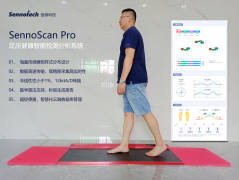 足压及步态健康智能分析系统