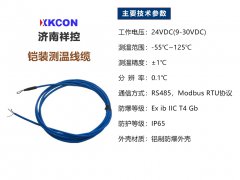 铠装测温电缆的主要应用