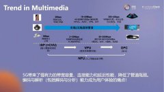 VPU与NPU的协同创新简析
