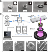 利用微流控光固化技术制备微型粒子研究现状及