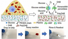 微创及无创血糖检测方法研究现状综述