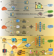 柔性传感-羊肉新鲜度无损检测双参数柔性温度