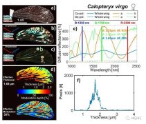 如何使用高光谱激光雷达平台用于监测昆虫多样