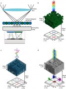 “进化”和3D打印新型纳米级光学器件检测和操纵