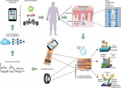 <b>基于汗液的可穿戴技术在代谢综合征监测中的应</b>