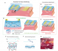 用于实时监测身体数据的聚合物半导体薄膜