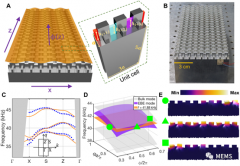 <b>4D超构材料实现弹性表面波的拓扑输运</b>