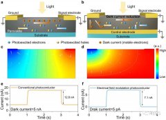 金属卤化物钙钛矿在可穿戴FPD和图像传感器应用