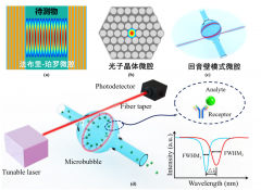 F-P型光流控微腔生物传感器实现超低浓度分子构