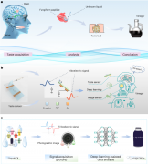 基于液滴动态变化和液-固界面接触起电的智能双