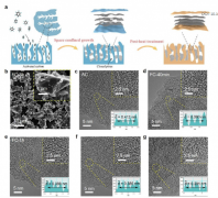 自下而上设计，精细合成硬碳微结构—高效碱金