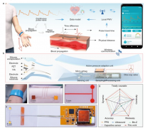 用于连续无线监测动脉血压的轻薄、柔性可穿戴
