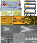 新型MEMS微流控生物传感装置用于诊断慢性消耗性