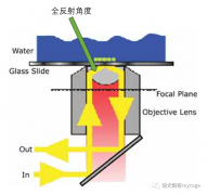 一文详解TIRF和SPR成像系统的环形照明