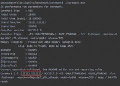 RISC-V公测平台发布· CoreMark测试报告