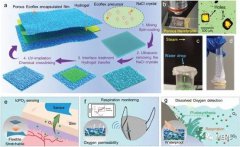 可穿戴传感器能够实现准确的实时检测